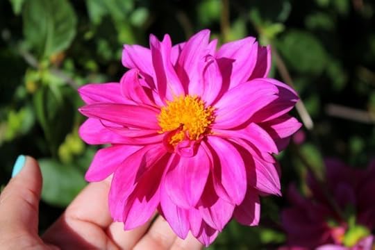 Using audio books, products and podcasts |www.organisingqueen.com