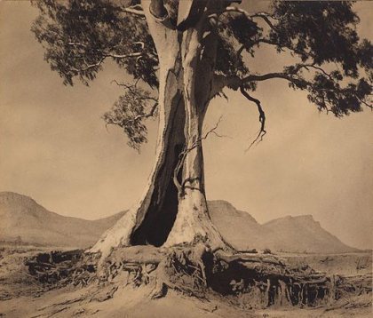 Spirit of Endurance, (1937), Harold Cazneaux