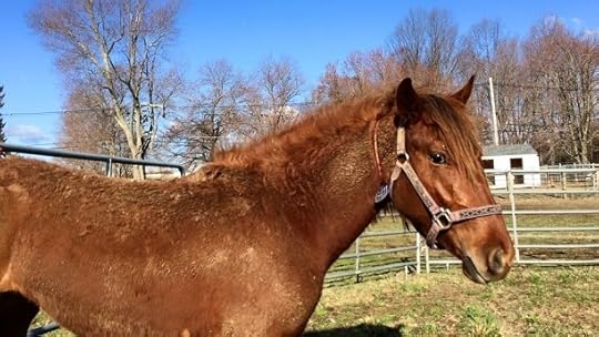 Saturday Smiles: Meet “Monche”