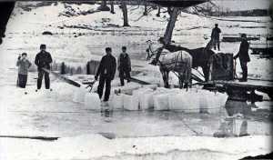 ice20horses