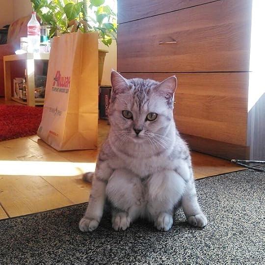  photo http3A2F2F41.media.tumblr.com2F48dfdbcb9c1fdb833403780bcd774d8f2Ftumblr_nl9x4vJRql1sn75h6o1_1280_zpsg7ujgg6r.jpg