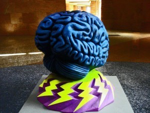 Not my actual brain. Photo courtesy of Morguefile.com
