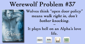 WPMeme_Wolf_37