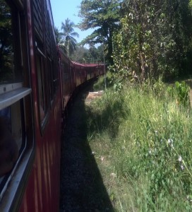 Getting to Anuradhapura - View from a train in Sri Lanka