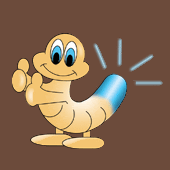 glow worm photo glowworm.gif