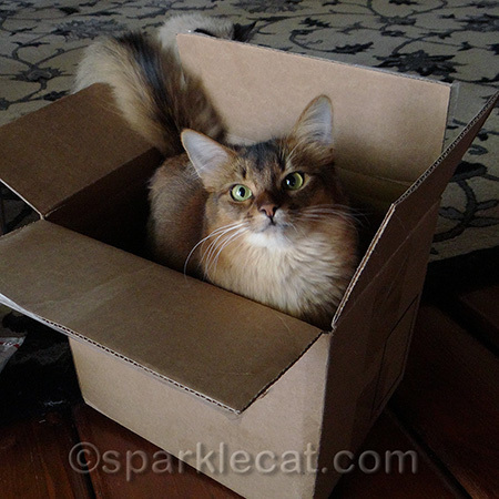 Awesome me in an awesome box