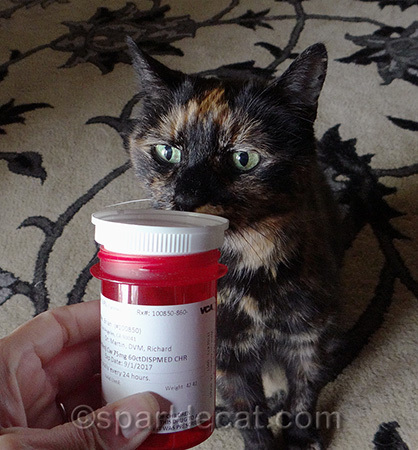 She thought she was a smart thief - ha!