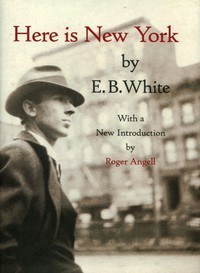 hereisnewyork1