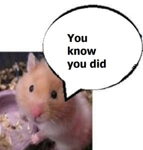 zhamsta41100167676767676767676