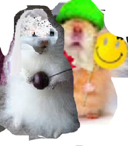 znewham-13sdsdsdsdsd