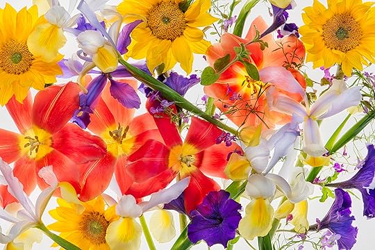 We are not afraid of color © Harold Davis