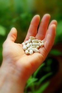 handful of beans
