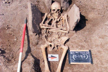 Skeleton of knight