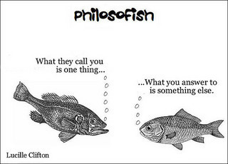 philosofish 31
