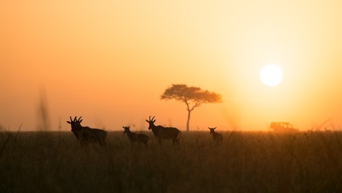 20140118-Kenya-8613-Edit
