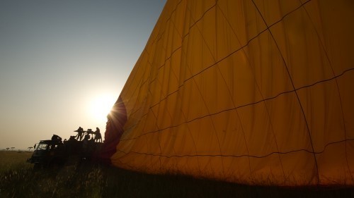 Maasai Mara, Kenya, Africa