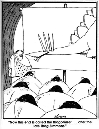 Thagomizer