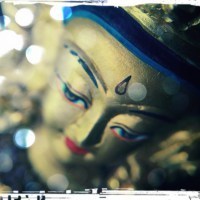 amitabha angle land