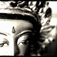 amitabha close land