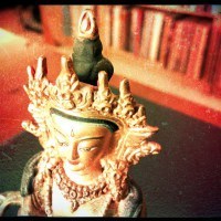 amitabha from above land