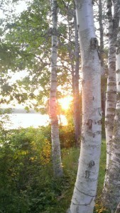 fd140716faesunset3