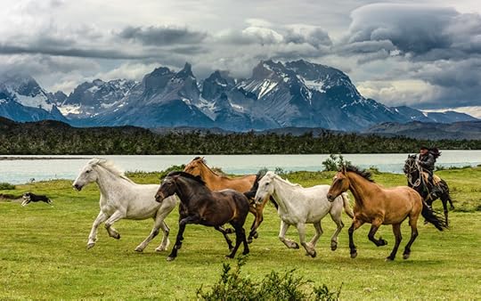 Photograph Show Must Go On by Evgeny Tchebotarev on 500px