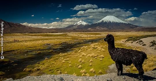Photograph Once upon a time in the Andes by Menno Dekker on 500px