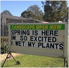 Image result for spring has sprung