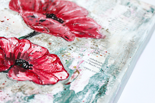 Mohn_4-