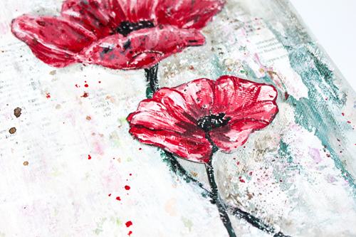 Mohn_7-