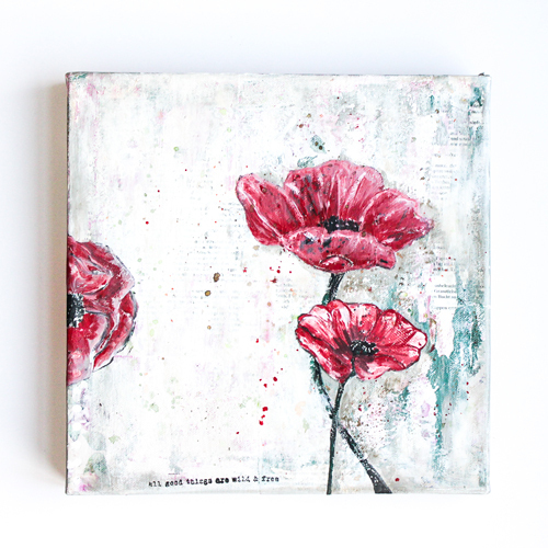 Mohn_1-