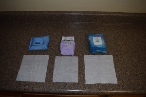 Joshua's sciece experament and Beauty blog on towelettes 005
