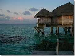 Tahiti Hut
