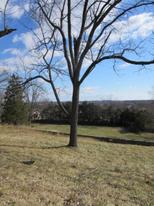 Fredericksburg March 2015 145