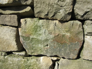 Fredericksburg March 2015 122