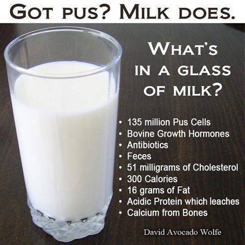Milk nonsense