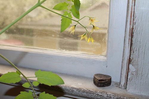 remaining indoors