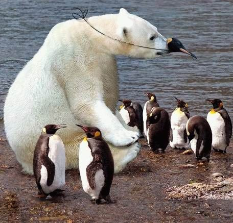 Stop trying to fit in when you were born to stand out.