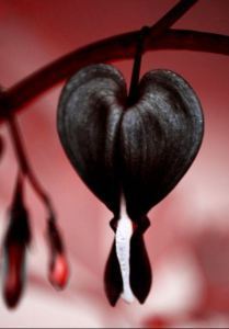 200c9ac825169b04cc9f6571f14113ac