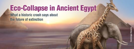 11012732_834579529947034_1919451596695676610_n