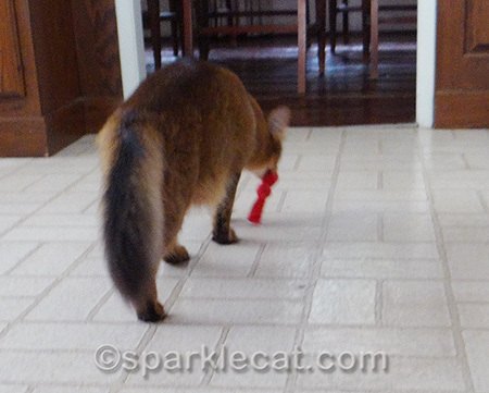 Admittedly, this photo IS out of focus