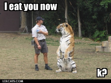 I eat you now, k? - lolcats.com
