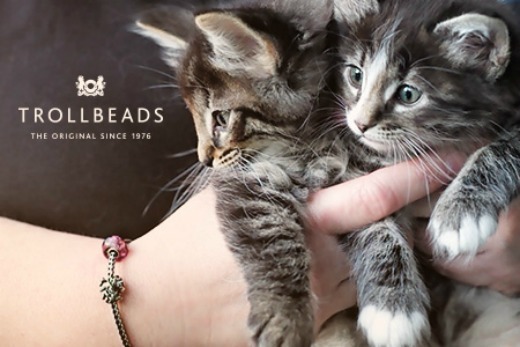 feline-spirit-bracelet