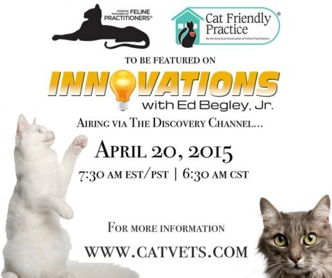 AAFP-Innovations