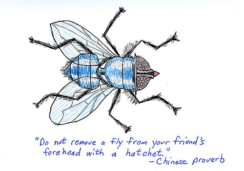 fly
