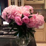 peonies in a vase