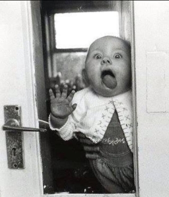  photo 10689825_337122789795472_3277626596341616804_n.jpg