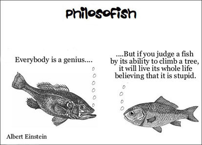 philosofish 28 small