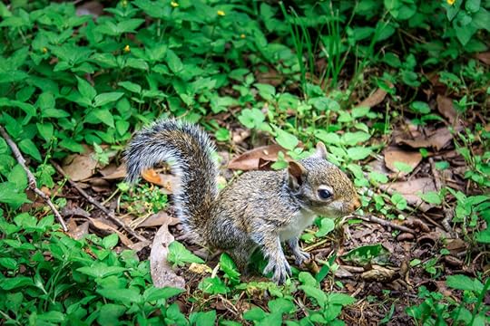 IMG_0112-Edits