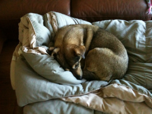 photo-7
